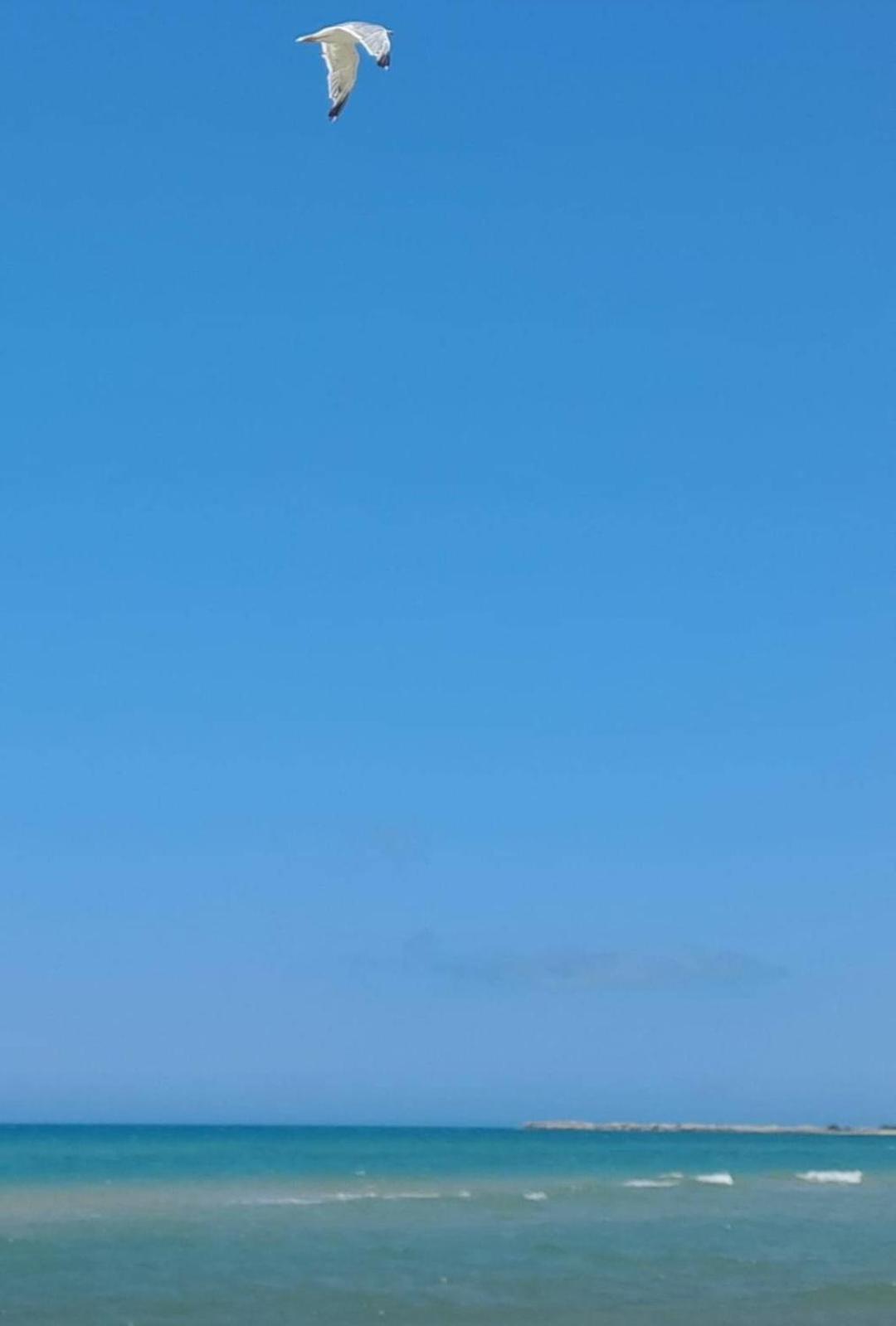 La Foggia Seaside Paradise シクリアーナ エクステリア 写真